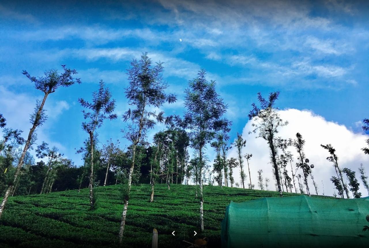 Oxyfarm Resorts Wayanad Buitenkant foto